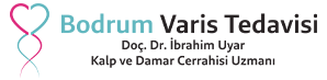 bodrum varis tedavisi